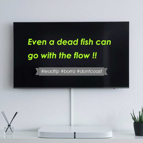 Even a dead fish can go with the flow !!
